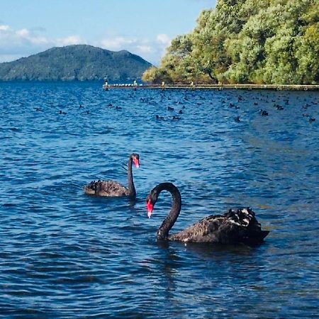 Gemini Lodge Rotorua Ngoại thất bức ảnh